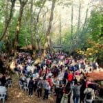 Τα παλιά κεντητά του τραπεζιού. Γαύρος φούρνου. The charming vintage hand embroidered tablecloths. Oven baked anchovies.