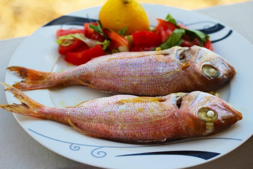 Red sea bream from Agios Nikolaos Crete