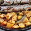 Oven baked pike fish with potatoes