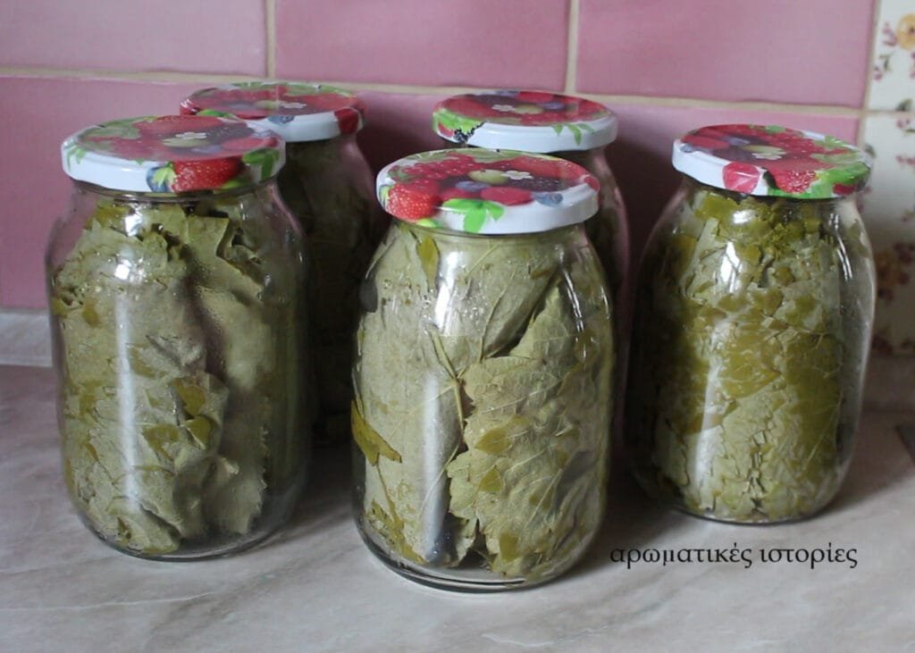 Vine-grape leaves in the jar