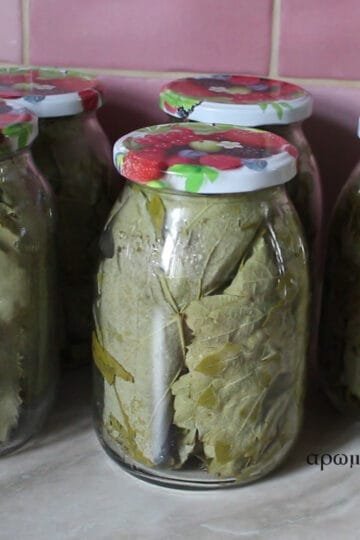 Vine-grape leaves in the jar