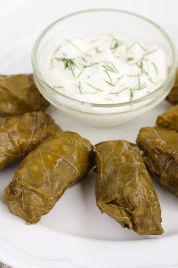 Dolmadakia with the perfect vine leave and minced meat