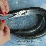 Ντοματένια ζαφοριστή με φέτα