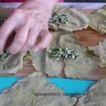 Φύλλο ήλιος ολόκληρη η διαδικασία για την τραγανή πιπεροτυρόπιτα