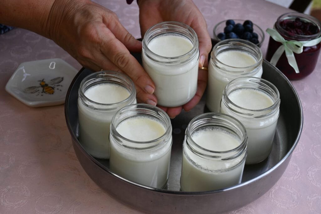 I make my own yogurt and boil sloes