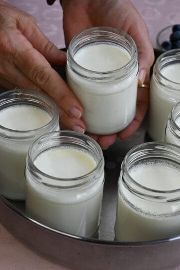 I make my own yogurt and boil sloes