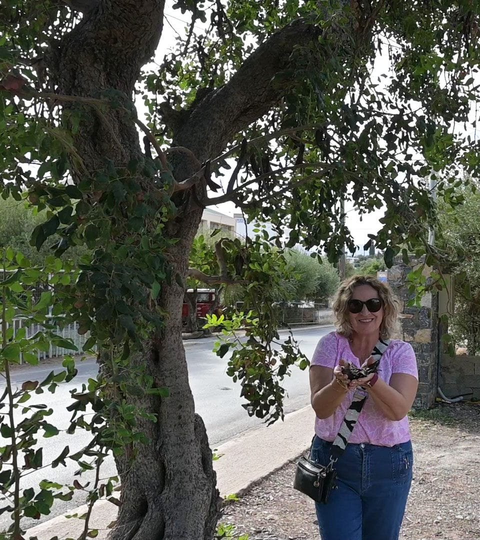 Carob tea with carobs from Agio Nikolao, Crete