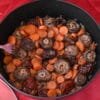Mushroooms with wine, carrots, prunes, and dittany of Crete