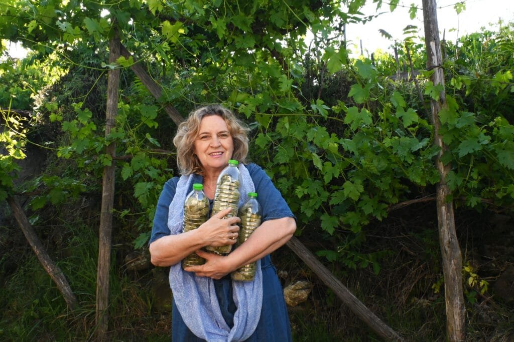 How to preserve grape leaves in a bottle