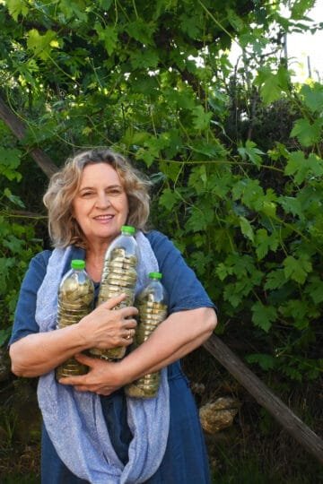How to preserve grape leaves in a bottle