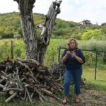Αμπελοφάσουλα σαλάτα με γιαούρτι και σουμάκι