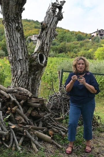 Mustalevria from grape molasses